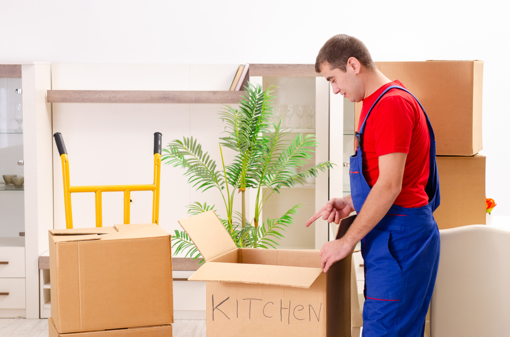 finding cost-efficient moving and storage services